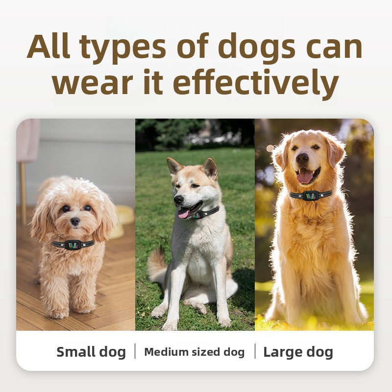 PetPulse SmartCore: Intelligent HD Display Training Collar