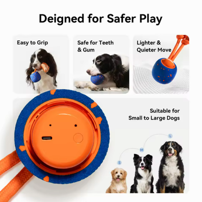 Interactive Pet Chew Toy Ball