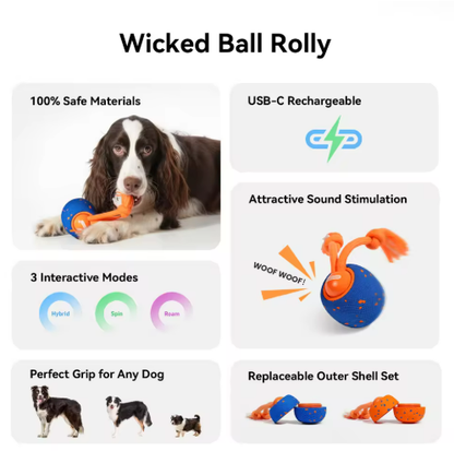 Interactive Pet Chew Toy Ball