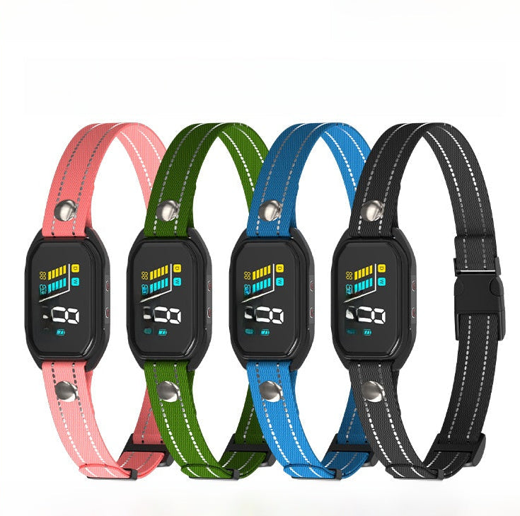 PetPulse SmartCore: Intelligent HD Display Training Collar