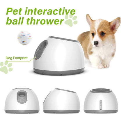 Interactive Dog Puzzle Toy for Mental Stimulation & Slow Feeding